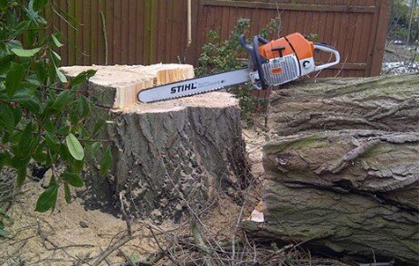 Tree Removal Benoni Tree Cutting Benoni