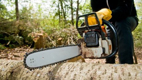 Tree Felling Benoni Tree Removal Benoni